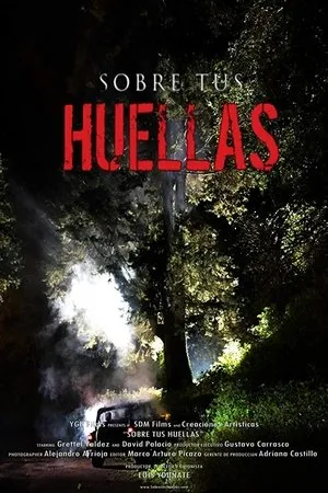 Постер к фильму Sobre tus huellas (2018)