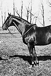 Актёр Man o» War — превью фото персоны
