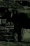 Актриса Toodles — превью фото персоны
