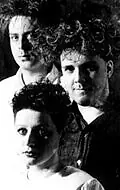 Актриса Cocteau Twins — фото персоны
