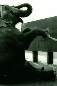 Актёр George Hanneford III — фото персоны
