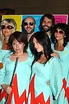 Актёр The Polyphonic Spree — превью фото персоны