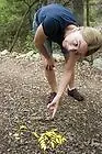 Актриса Келли Эстес — превью фото персоны
