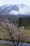 Актёр Тайлер Ричардсон — превью фото персоны
