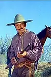 Актёр Нико Де Силва — превью фото персоны
