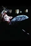 Актриса Синди Харрелл — превью фото персоны