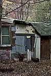 Актёр Джек Маркс — превью фото персоны