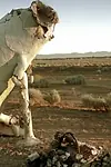 Актёр Кайл Аррингтон — превью фото персоны