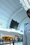 Актёр К. Энтони Аппиа — превью фото персоны