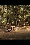 Актёр Стефан Колье — превью фото персоны