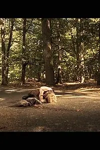 Актёр Стефан Колье — фото персоны