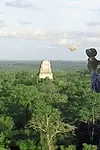 Актёр Лорни Петерсон — превью фото персоны