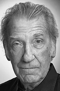 Актёр Дэвид Уорнер — фото персоны