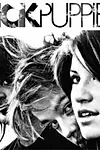 Актёр Sick Puppies — превью фото персоны