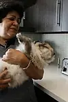 Актриса Зойла Чавез — превью фото персоны