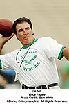 Актёр Vince Papale — превью фото персоны