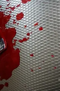 Актёр Мона Скривер — фото персоны