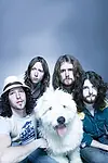 Актёр The Sheepdogs — превью фото персоны