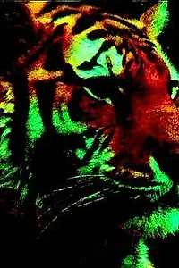 Актёр MacroTiger — главное фото персоны