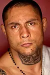 Актёр Thiago Silva — превью фото персоны