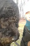 Актёр Аманда Уайлдер — превью фото персоны