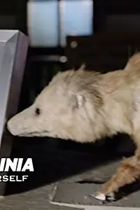 Актриса Дэна — фото персоны