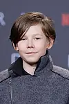Актёр Daan Lennard Liebrenz — превью фото персоны