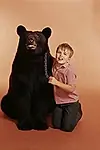 Актёр Bruno The Bear — превью фото персоны