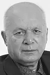Актёр Рамиз Меликов — превью фото персоны