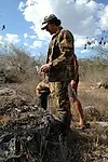 Актёр Ricardo Lima Martinez — превью фото персоны