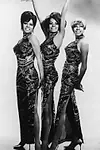 Актриса The Supremes — превью фото персоны