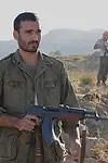 Актёр Сайрус Шахиди — превью фото персоны