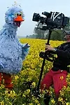 Актёр Франсуа Перрье — превью фото персоны