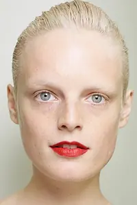 Актриса Hanne Gaby Odiele — главное фото персоны