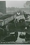 Актриса Марта Экстрём — превью фото персоны