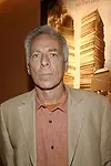 Актёр Марк Левин — превью фото персоны