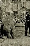 Актёр Рене Пойен — превью фото персоны