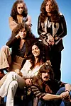 Актёр Deep Purple — превью фото персоны