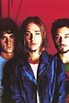 Актёр Silverchair — превью фото персоны