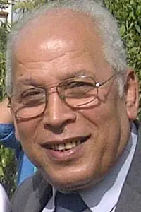 Актёр Mahmood El-Shorbagi — фото персоны