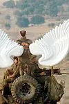 Актёр Джил Фрэнк — превью фото персоны