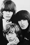 Актёр The Walker Brothers — превью фото персоны