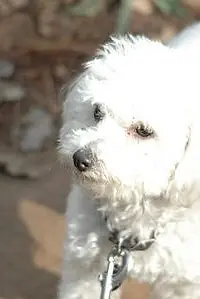Актёр Tofu — главное фото персоны