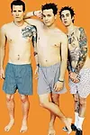 Актёр Blink 182 — превью фото персоны