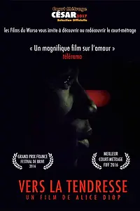 Постер к фильму «Навстречу нежности (2016)»