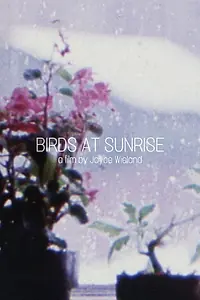 Главный постер фильма «Birds at Sunrise (1986)»