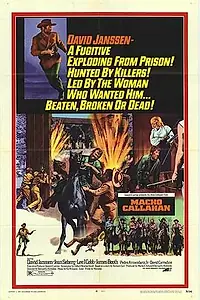 Постер к фильму «Мачо Каллахан (1970)»