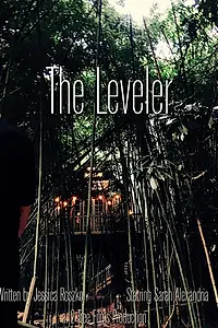 Постер к фильму «The Leveler»