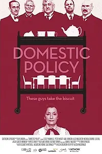 Постер к фильму «Domestic Policy (2016)»