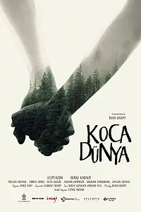 Постер к фильму «Огромный мир (2016)»